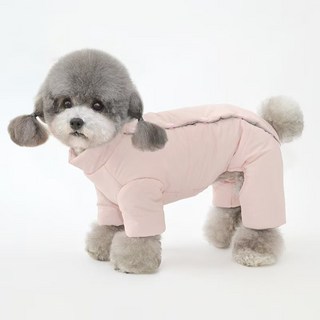 YAPOGI 강아지 겨울 솜패딩 착용샷