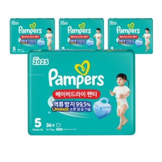 팸퍼스 2025 베이비드라이 팬티형 기저귀 남녀공용, 5단계, 144매