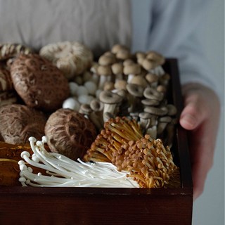 일주일 생버섯 모듬 세트 국산 랜덤구성 (느타리/팽이/새송이/미니새송이/양송이/느티만가닥(흰색/갈색)/목이/표고/황금팽이), 1개, 2~3인용 구성