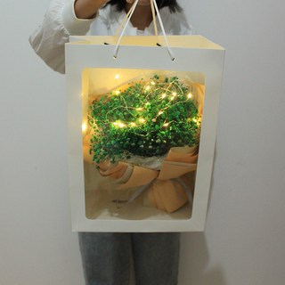 滿天星干花束母親節禮物：向日葵生日禮物盒，告白神器情人節禮物, 青滿天星香檳歐雅紙+禮袋燈