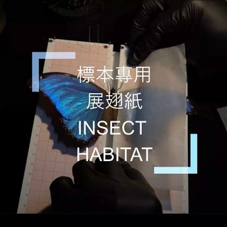 標本專用展翅紙 滑面不傷鱗粉 適用於蝴蝶標本製作, 一組10張, 1個