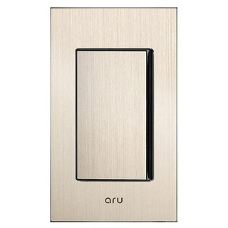 아루 샴페인골드) 스위치 1구 전면 알루미늄, 1개