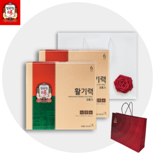 정관장 홍삼정 활기력 2박스 합포장 수제 꽃 코사지 정품백 쇼핑백 2종 선물세트, 640ml, 1세트