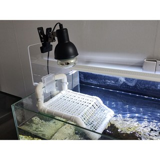 파이프 거북이 육지 쉼터 터틀홈 반수생, 1개, 하얀 파이프