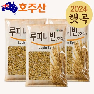 The큰나무 호주산 루피니빈 콩 루핀 콩, 900g, 3개