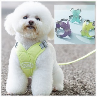 X형 하네스 기관지가 편한 가슴줄, 퍼플, 1개