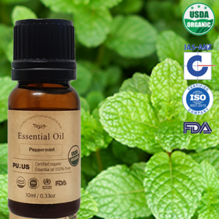 천연 페퍼민트 오일 10ml 원액 감기 두통 근육통, 1개