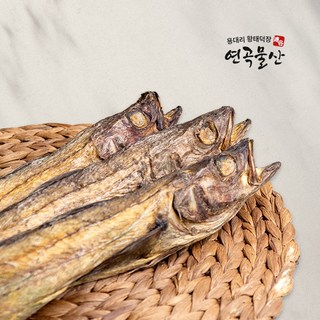 용대리건조 최상급 통황태 38cm부터52cm까지, 5.통황태10미38~40cm, 1개, 10미