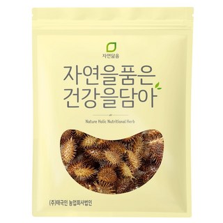 국산 도꼬마리 창이자 300g, 1개입, 1개
