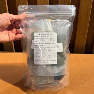 병 없는 테라리움 재료 키트 DIY 입문자용 세트 소형 1개