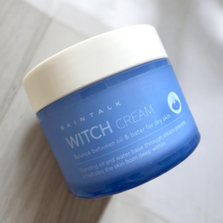 스킨톡 마녀크림 아르간 스팀 수분크림 100ml, 1개