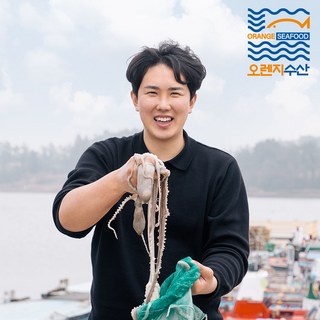 [오렌지수산] 신선한 국내산 산낙지 해남 뻘낙지 호롱구이 연포탕, 1세트, 중낙지 (110~130g 내외)x5마리