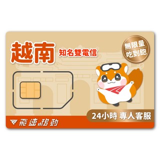 【飛速移動】越南網卡，吃到飽5G/4G高速，雙電信，3-10天隨插即用，適用富國島、峴港、會安、河內，SIM卡, 1個, 8天, B【知名雙電信】1GB/天