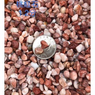 造景石頭 進口玫瑰石 桃紅石 珊瑚紅石 鵝卵石 多肉植物裝飾 魚缸底砂, 1個, 1.2分,1kg, 1kg