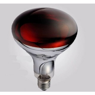 푸드 온열 워머 스탠드형 업소용 튀김 램프 플레이트, 250W 반광 레드, 100-300W, 1개