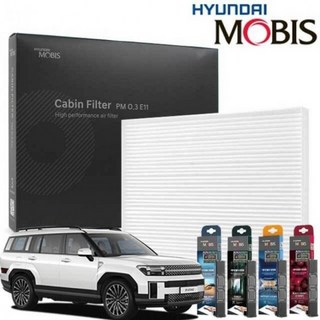 현대모비스 싼타페 MX5 에어컨 필터 방향제 세트, 1세트, 11번+블루밍플라워