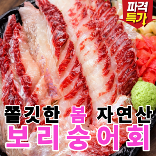 [작년판매1위] 봄제철 쫄깃담백 자연산 보리숭어회, 1개, 필렛 300g