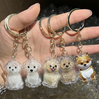 투명 반려동물 강아지 털 뭉치 보관 캡슐 키링, 1개, 11멍냥털키링-푸들