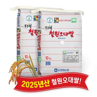 [당일도정] [동철원농협 운영] 2025년산 햅쌀 두루웰 철원오대, 2개, 상등급, 10kg