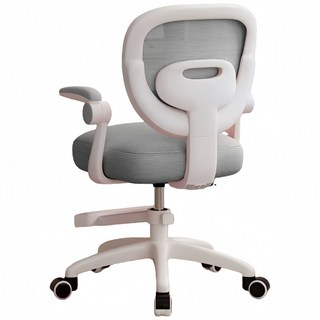 兒童椅 兒童學習椅 書桌椅 升降椅, 1件, 標準版灰-重力輪-帶扶手-可升降-萬象輪, 標準版灰