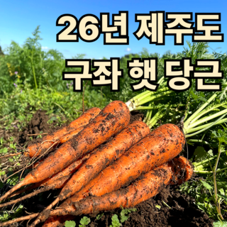 [달달하니맛있는] 제주 구좌 당근 국내산 햇 흙당근 3kg 5kg 10kg, 1박스, 3kg 왕