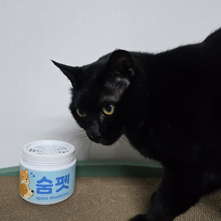 고양이 탈취제 오줌 냄새제거 애견 애완동물 강아지 화장실 탈취, 1개, 350g