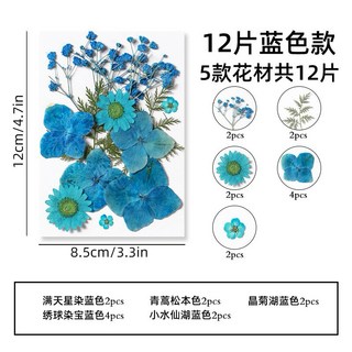 【12片繽紛系列】真花壓花永生花乾燥花組合包，森林系少女寫真壁畫DIY水晶滴膠植物標本, 8.12片系列藍色（繽紛系）