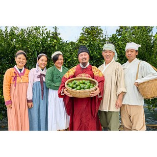 프리미엄 타이벡 현타귤 제주 현재농장 감귤, 1개, 현타귤 4.5kg(로얄 M size 만) 추천