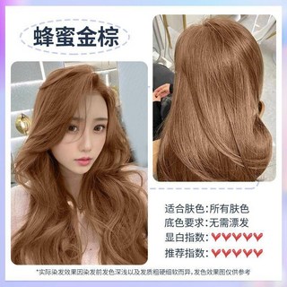 純奶茶染髮劑淺金，植物配方，在家染髮，顯白潮流流行色，學生自己染, 蜂蜜金棕（奶茶色）, 1個