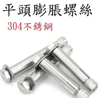 【平頭膨脹螺絲】304不銹鋼水泥螺絲自攻螺絲高張力螺絲壁虎白鐵螺絲快速釘內迫壁虎, 1個, M10*100