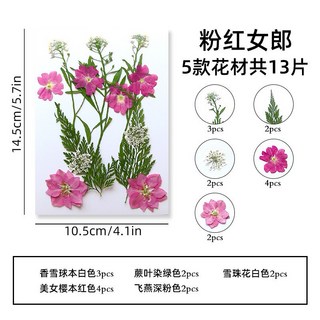 【貼臉壓花系列】花包組合 真花壓花 永生花 森林系少女寫真 壁畫 DIY水晶滴膠 乾燥花 植物標本, 1.粉紅女郎