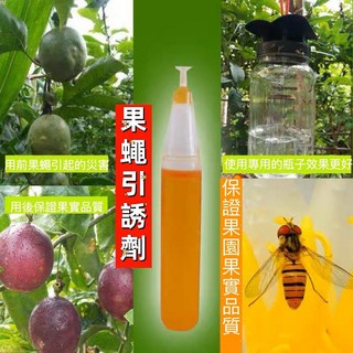 果實蠅引誘劑 果蠅誘捕劑 瓜實蠅誘引劑 東方果實蠅 昆蟲性費洛蒙, 1個, 單一選項