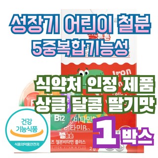 철분엽산비타민d 성장기어린이 딸기맛 산화아연 황기추출분말, 60g, 1개