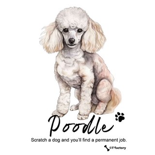 T'factory 純棉T恤, 1個, 貴賓犬,短袖白色S