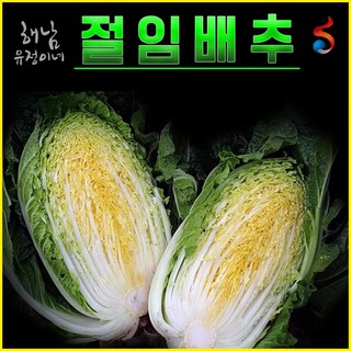 해남 유정이네 절임배추[배송예정일 도착], 10kg