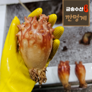 금송수산 손질 깐멍게 1kg, 1개