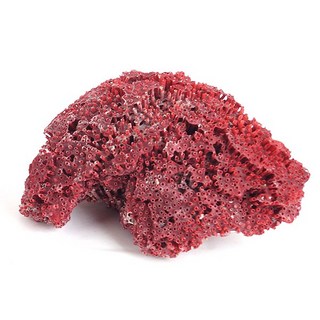 미미네아쿠아 어항꾸미기 홍산호 L, Large, 1개