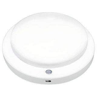 연하 LED 은가비 智能感應燈 15W, 白色 + 晝光色, 1個