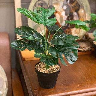 GXS拍照道具 龜背葉仿真植物假盆栽，室內裝飾綠植，免澆水仿真龜背芋盆栽, 綠色龜背竹12葉-高約40cm, 1個