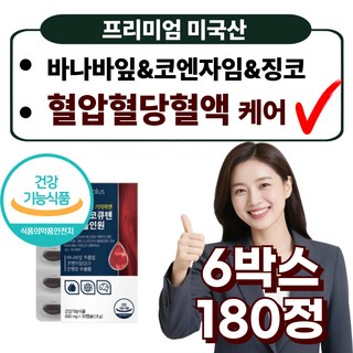프리미엄 바나바잎추출물 코큐텐 징코 혈당 혈액 Q10 100mg 영양제, 6박스, 30정
