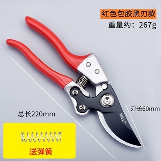 台灣熱銷強力果樹枝剪刀 修枝剪刀 粗枝剪 樹剪子 剪刀 枝花卉綠化園藝剪刀, 1個, 紅色包膠黑刃款  送備用彈簧