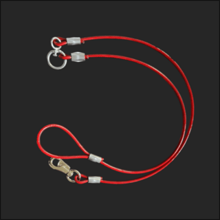 제이제이펫 반려견 와이어 개줄 리드줄 8mm 2.0M 꼬임방지 개목줄 코팅 칼라 와야줄, 1개, 빨강