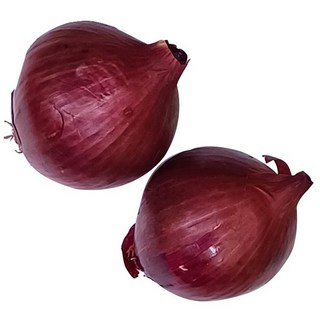 진하고 맛있는 무안 빨간양파즙, 110ml, 120개