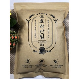 [맛집 추천] 특A급 호라산밀 쌀 잡곡 브랜드 밀 저당 고대곡물 골드 햅 통곡물, 2kg, 4개