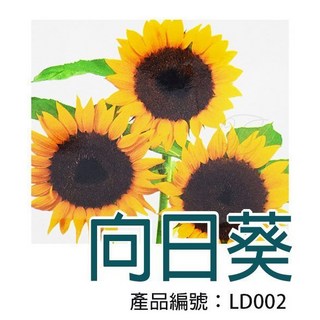 【醬米資材】DIY向日葵種子栽種盆栽組 - 居家園藝首選 體驗種植樂趣, 1個, 黃色