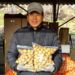 팔도명인 예천 통호두 1kg (국산 피호두 / 햇호두 / 호두까기 포함), 1박스