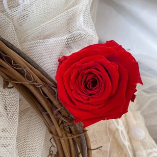 大地農園永生玫瑰 裸色奶茶色系 求婚花束 永生花批發 乾燥花色系, g-母后