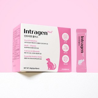 인트라젠 플러스 반려동물 영양제, 60g, 장건강/유산균, 1개