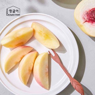 [못난이] 설아복숭아 겨울 백도 고당도 아삭 달콤 쫀득한맛 제철 산지직송 설리, 1박스, 못난이 1.7kg (4-7과)