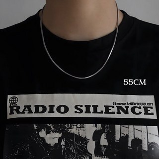 AETTO 蛇骨鈦鋼細鍊 頂級鈦鋼簡約百搭項鍊